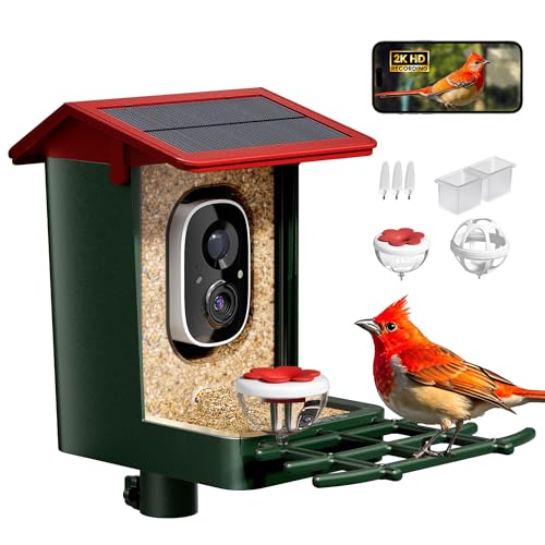Best Squirrel Proof Bird Feeder